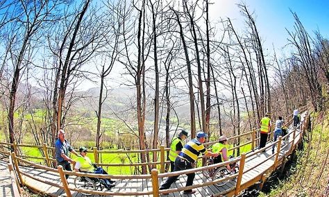 Grupo de voluntarios y personas en silla de ruedas paseando por una senda accesible de Campiellos