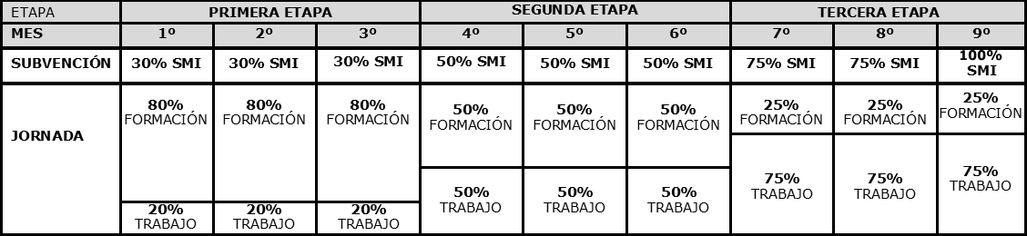 Tabla en al que se distribuye por etapas la subvención, jornada y formación